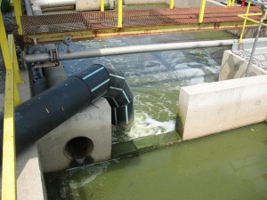 6798021280_508ddcc12f_z