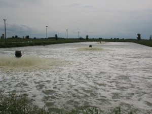 6944141035_15aee493ec_z