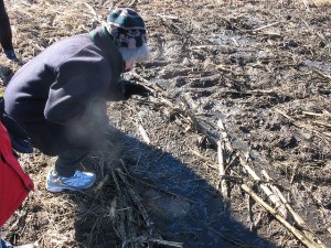 2639093319_4d3105c2c2_z