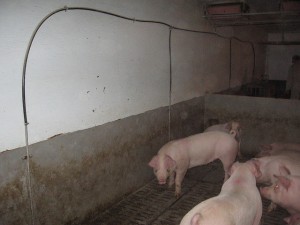 2639126113_2bce9d53ed_z